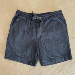 Patagonia Lightweight All Wear Hemp Volley Chino Shorts 7” Large
